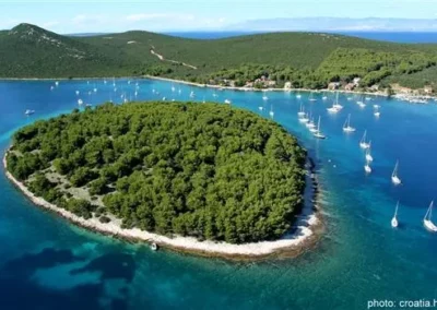 Molat sziget